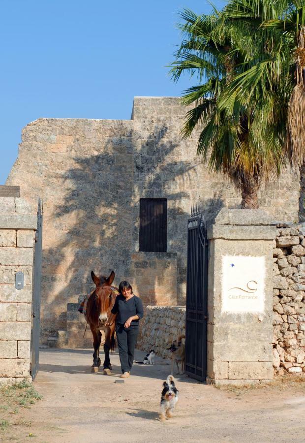 Agriturismo Masseria Gianferrante Ugento Exterior photo